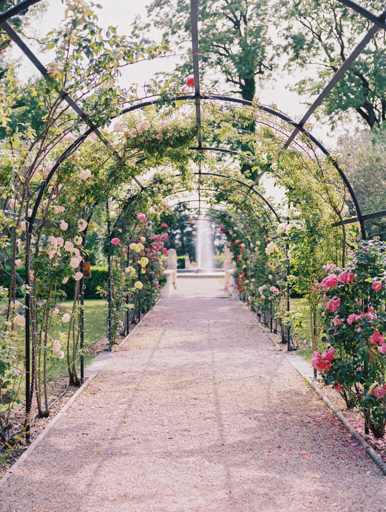 Rose Garden at Château de Tourreau